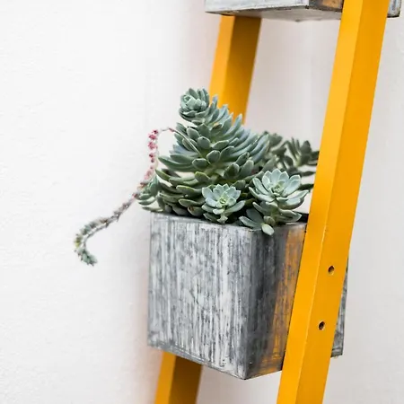 Alfama Design * Lisbon