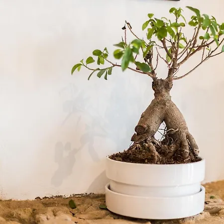 Апартаменты Alfama Design