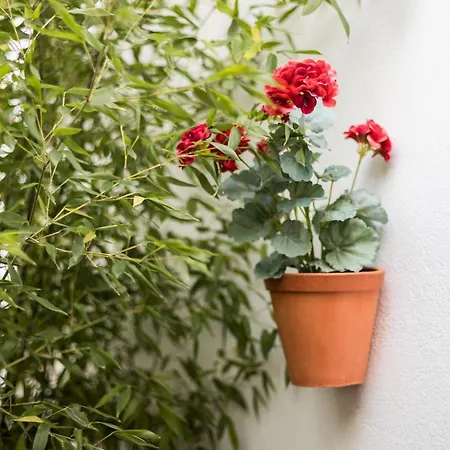 Alfama Design Lissabon